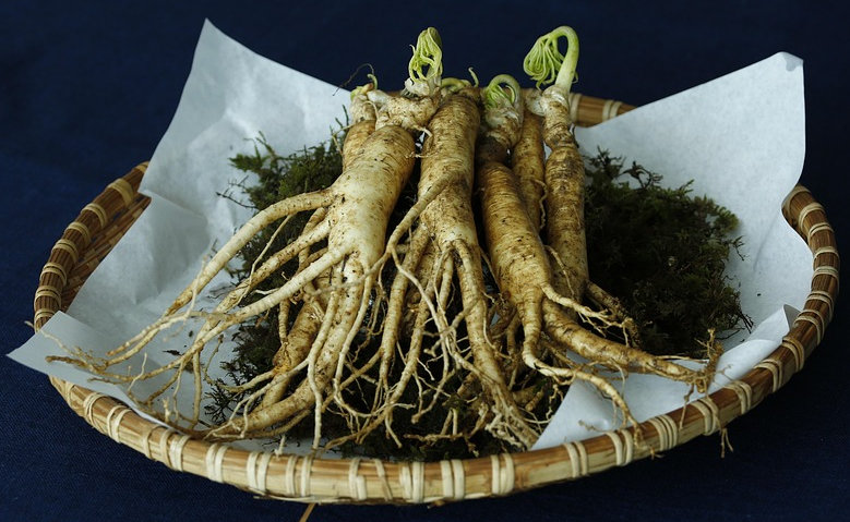 ginseng